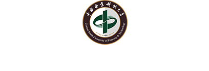 球速体育