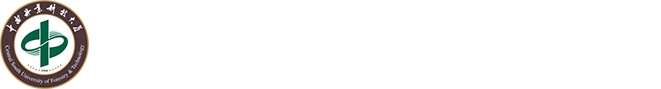 球速体育